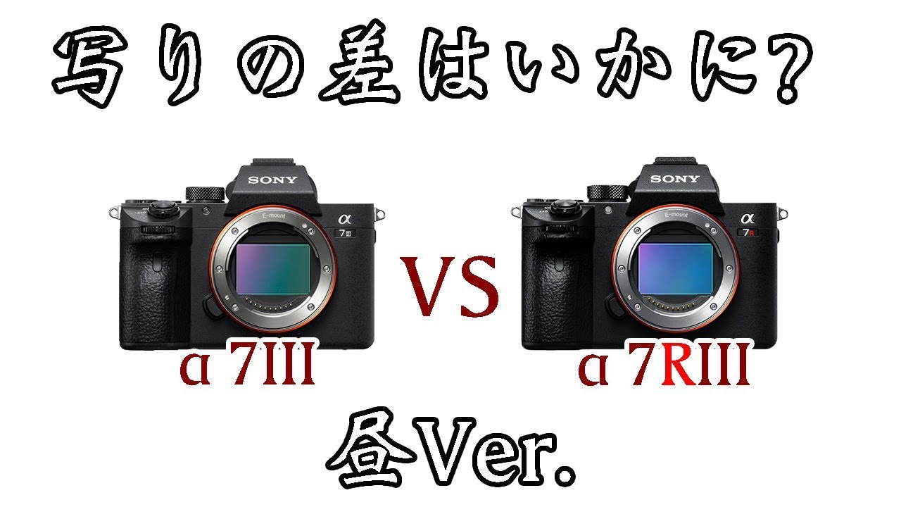 注目のミラーレス機、α7IIIとα7RIIIの解像感を比較してみたよっ