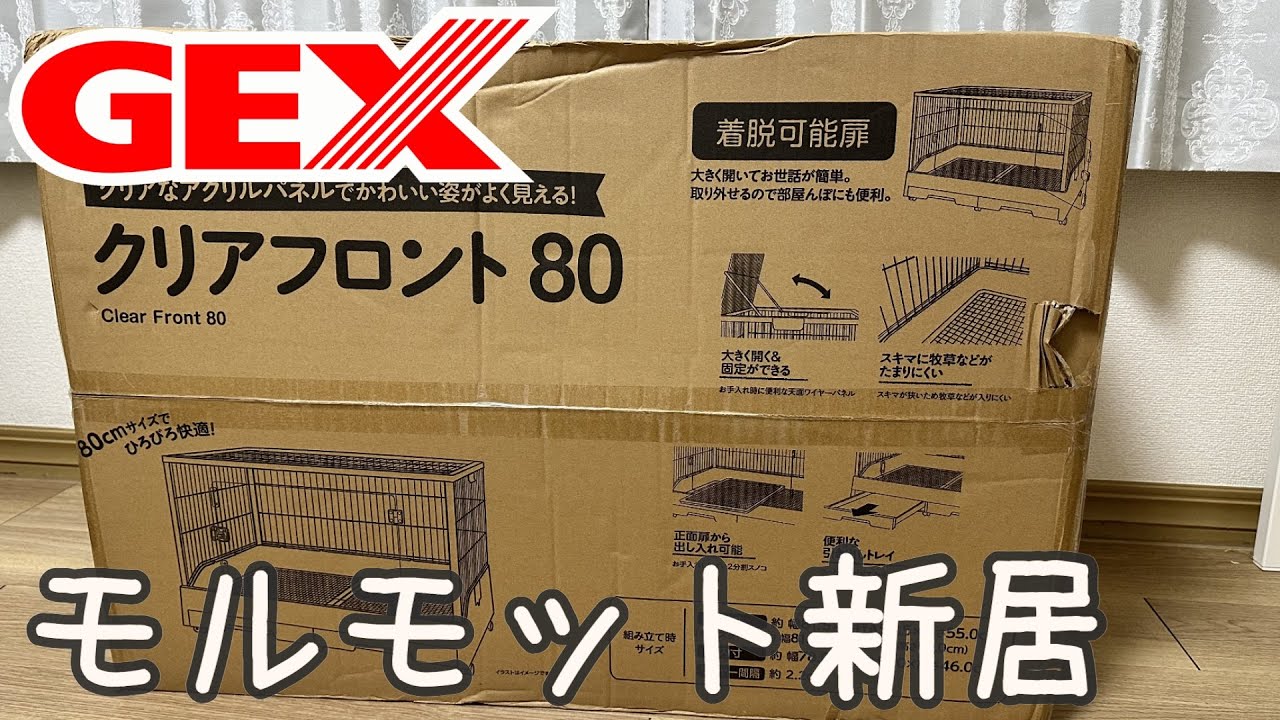 New product] Purchased GEX Clear Front 80 for the guinea pig's new