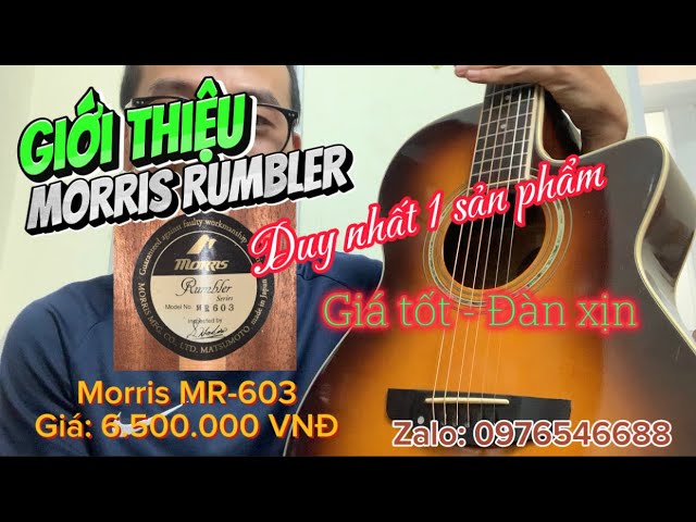 Giới thiệu Guitar Acoustic Morris Rumbler MR-603 Japan Xịn Xò