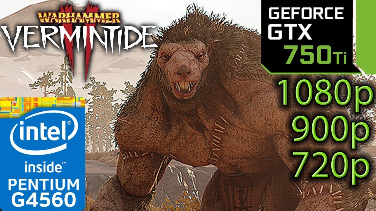 Warhammer Vermintide 2 - GTX 750 ti - 1080p - 900p - 720p - G4560