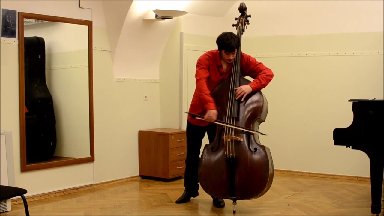 ガット弦についての雑感 : tajimanomegane