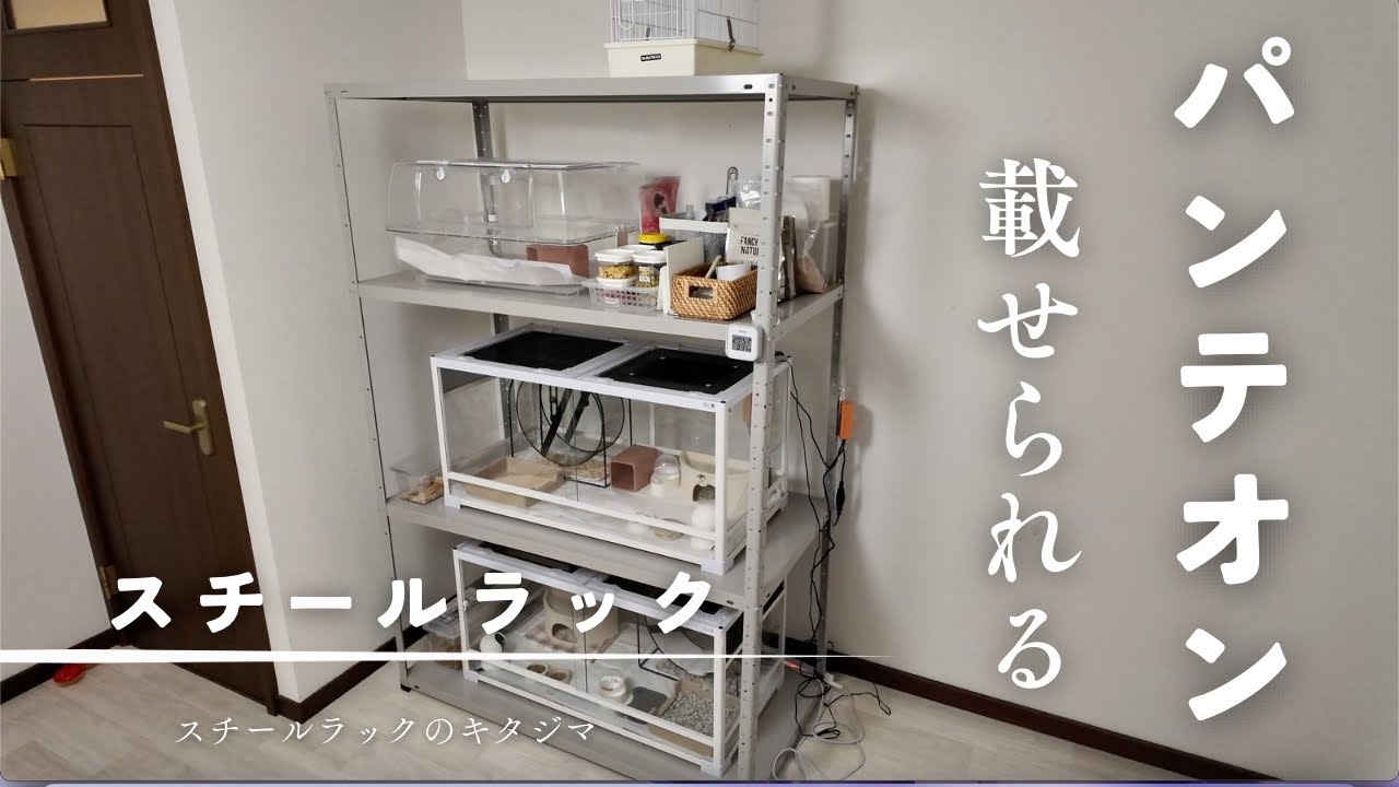 Steel Rack] Steel rack that can hold Pantheon 9045 [Hedgehog Cage