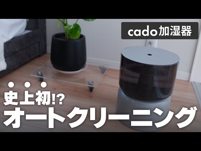 2025 Latest] cado Humidifier✨Auto-cleaning for hassle-free use! A