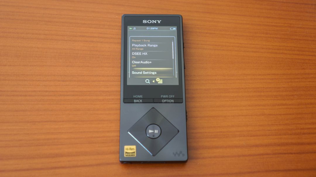 Sony NW-A25 Review – Dead Media or Niche Luxury? – Everyday Listening