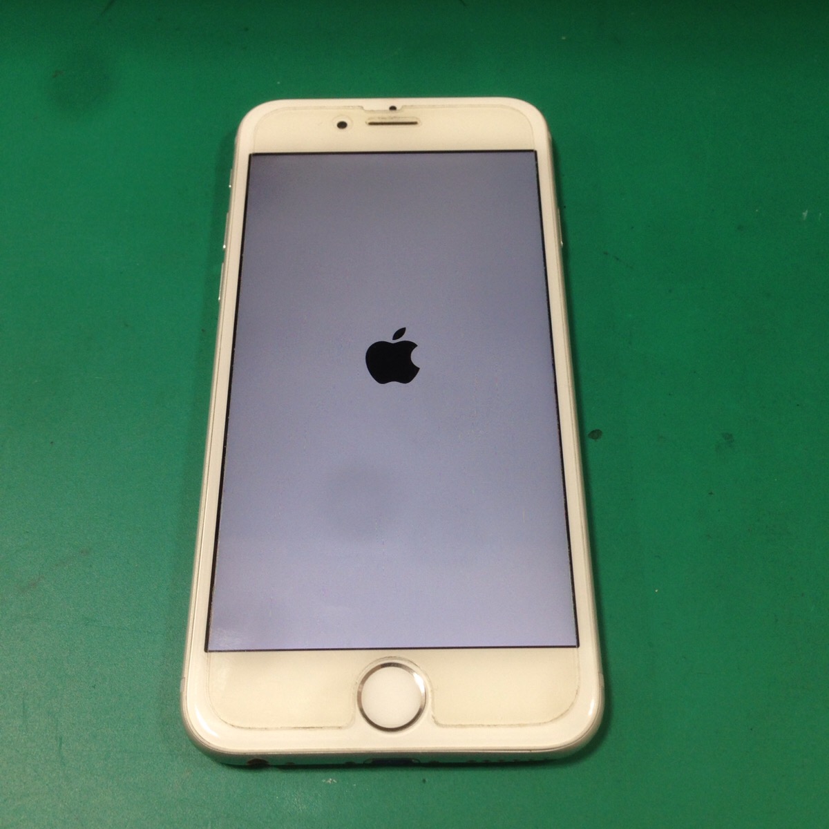 恐怖!!魔のリンゴループ!!(((；ﾟДﾟ)))ｶﾞｸﾌﾞﾙ｜モバイアス 平間川崎武蔵