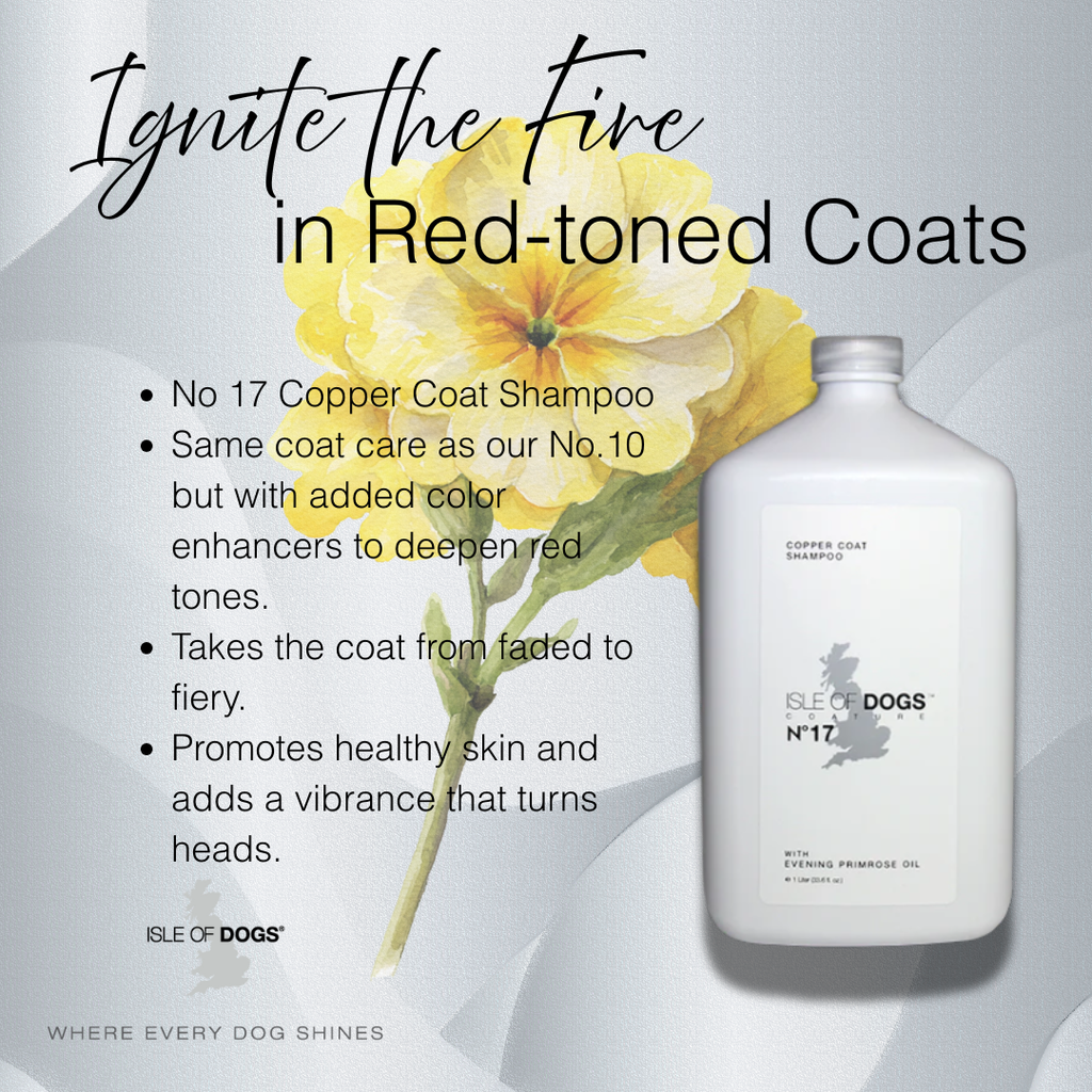 No. 17 Copper Coat Evening Primrose Oil Shampoo – Isle of Dogs