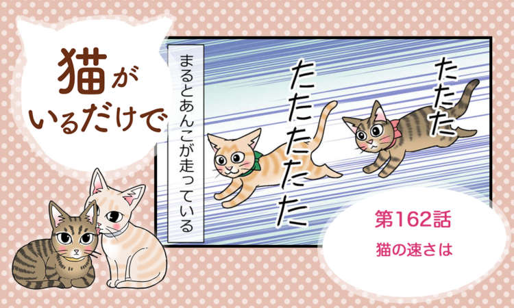 まんが】第162話：【猫の速さは】まんが描き下ろし連載♪ 猫がいるだけ