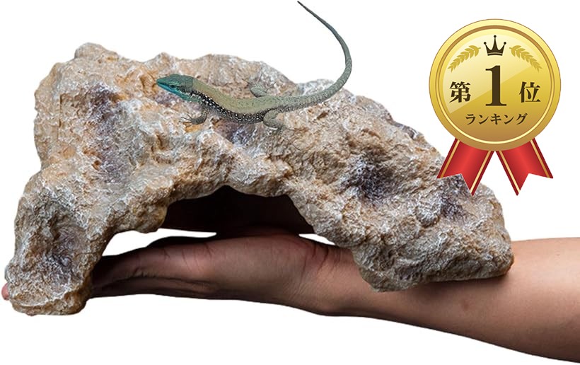 楽天市場】【楽天ランキング1位入賞】爬虫類 レオパ シェルター トカゲ