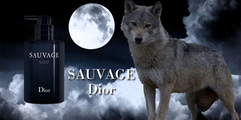 楽天市場】【先着限定☆最大1200円OFFクーポン配布&抽選100％ポイント