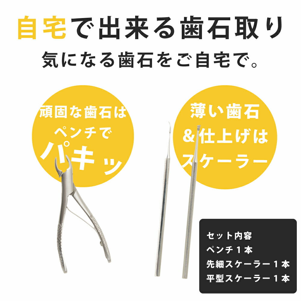 楽天市場】【P2倍＆クーポン配布中】愛犬・愛猫歯石取りペンチと