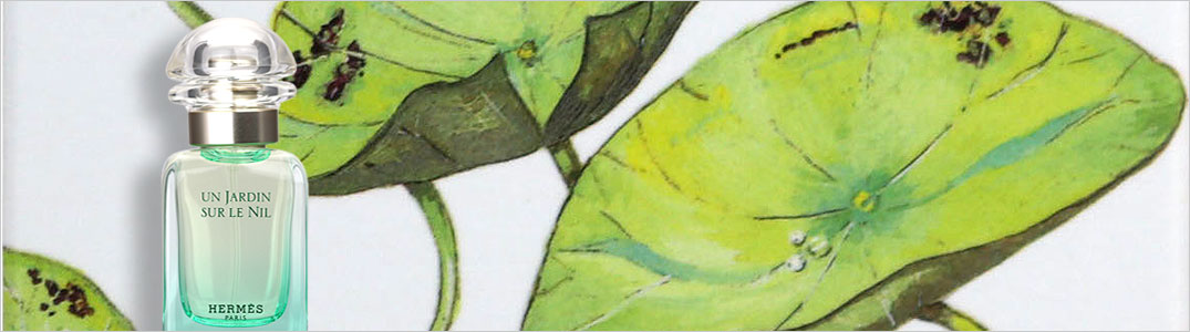 楽天市場】エルメス HERMES レマンエルメスクレームレマン 100ml