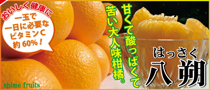 愛媛県産 甘平 精品10kg（M～4L混み） - きなはいやインターネット店