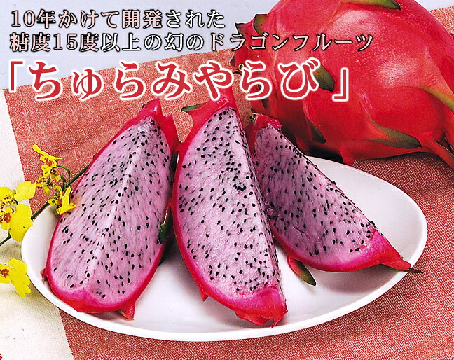 超特大60cmドラゴンフルーツピンク天使ジモモ 羽付き スペシャルオーダー 超特大60cmドラゴンフルーツピンク天使ジモモ 羽付き スペシャル