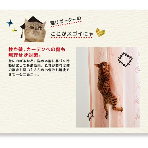 楽天市場】キャットタワー おうちで木登りタワー ボックス付き