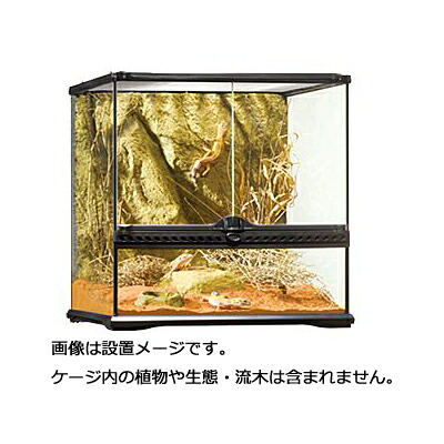 楽天市場】【全国送料無料】GEX エキゾテラ グラステラリウムPRO 3045