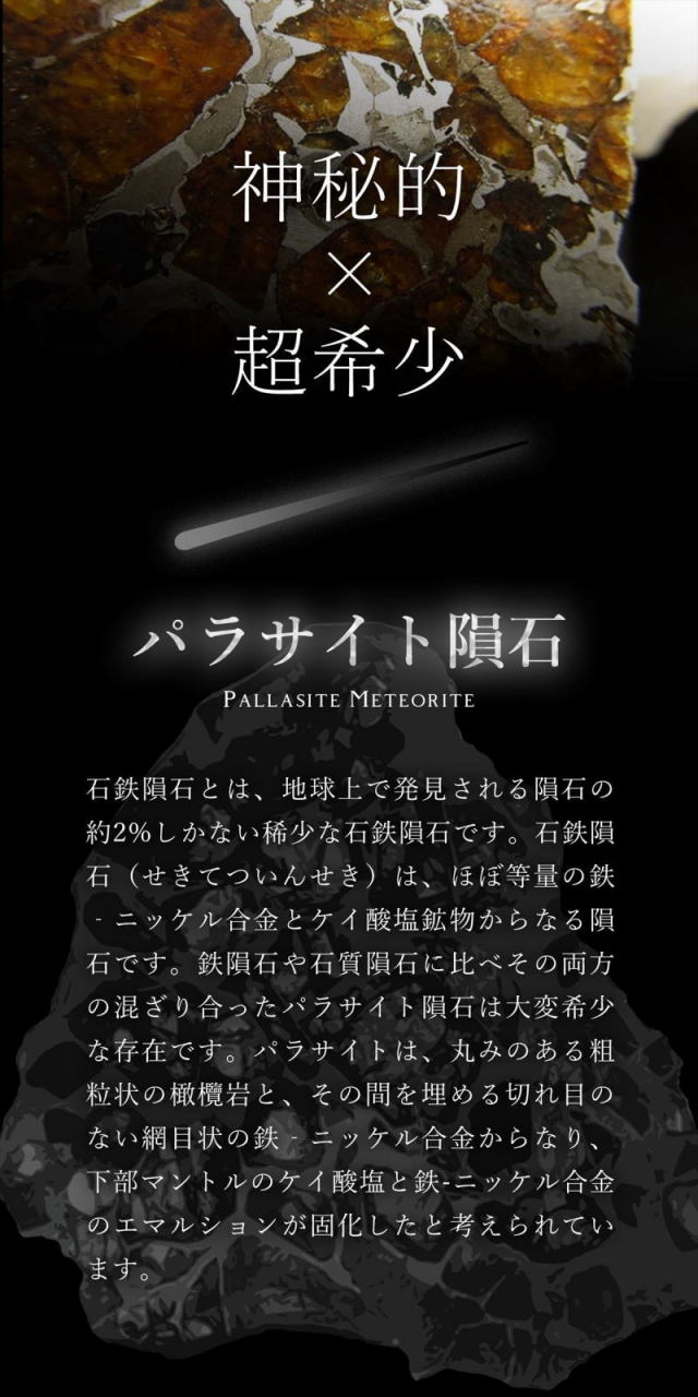 セリコ隕石 パラサイト隕石 原石 スライスプレート 最大幅約28.3mm 約