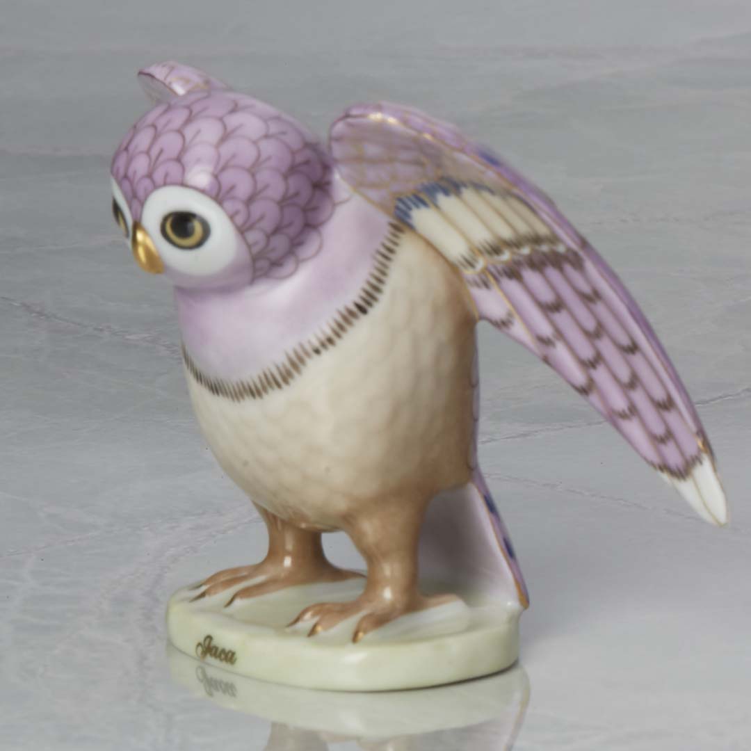 世界のふくろう] ハカのふくろう