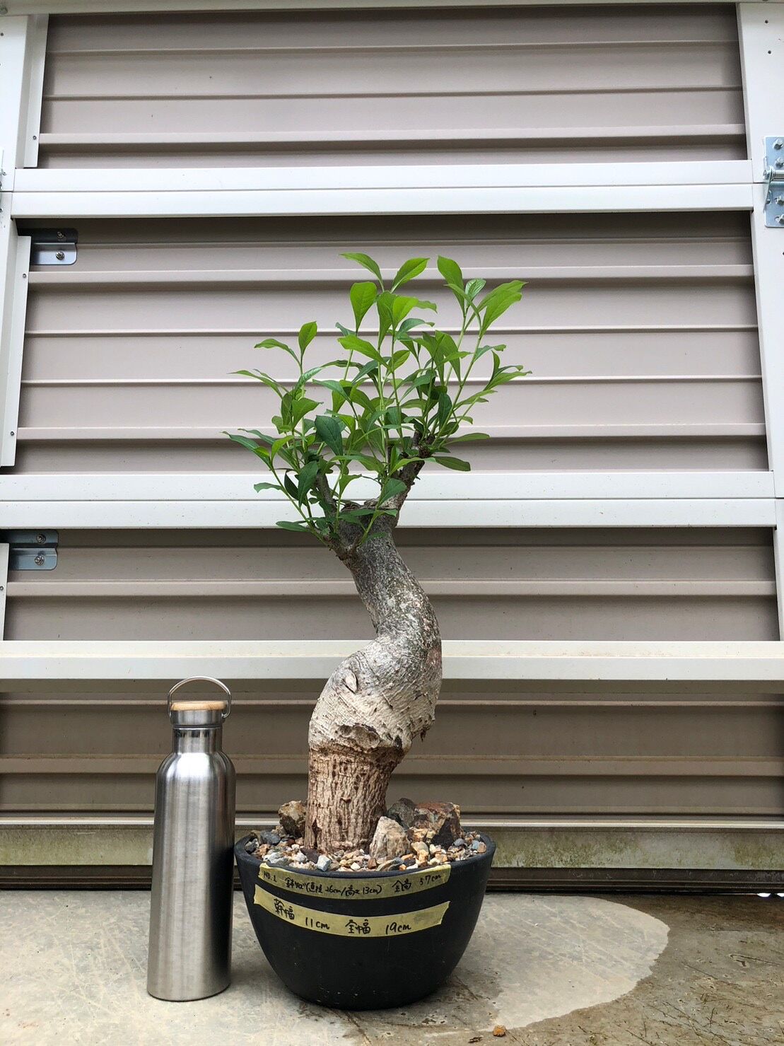 fit=scale-down,w=1200