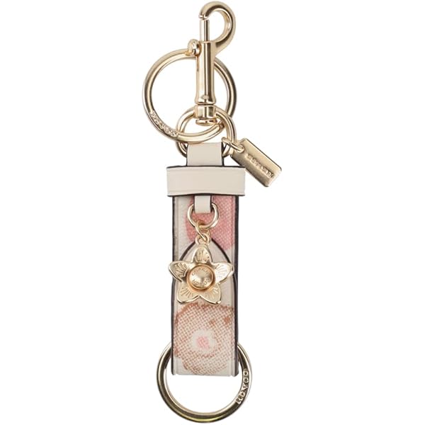 Amazon.co.jp: コーチ シグネチャー ピクチャー フレーム バッグ