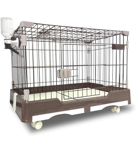 Amazon | 市瀬 ハチコウステンレスケージ SSLL-SOP | 市瀬 | 飼育