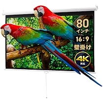 Amazon | イーサプライ プロジェクタースクリーン 80インチワイド 16:9