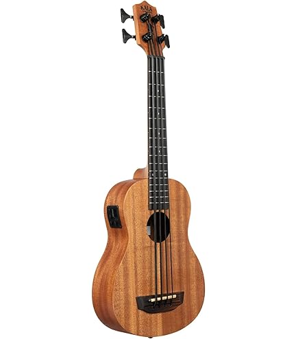 Amazon.co.jp: ARIA ウクレレベース AUB-CE/FL : 楽器・音響機器