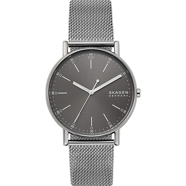 Amazon.co.jp: スカーゲン SKAGEN クロノグラフ SKW6105 メンズ [並行