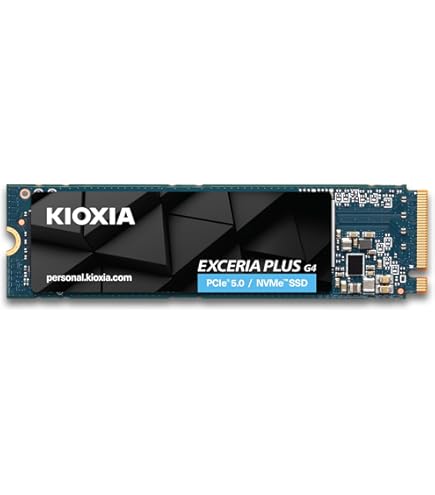 Amazon.com: KIOXIA EXCERIA 500 GB NVMe M.2 SSD : Electronics