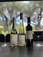 Perfect Set Petit Trio - sei + asatsuyu + rindo 375ml | Kenzo Estate