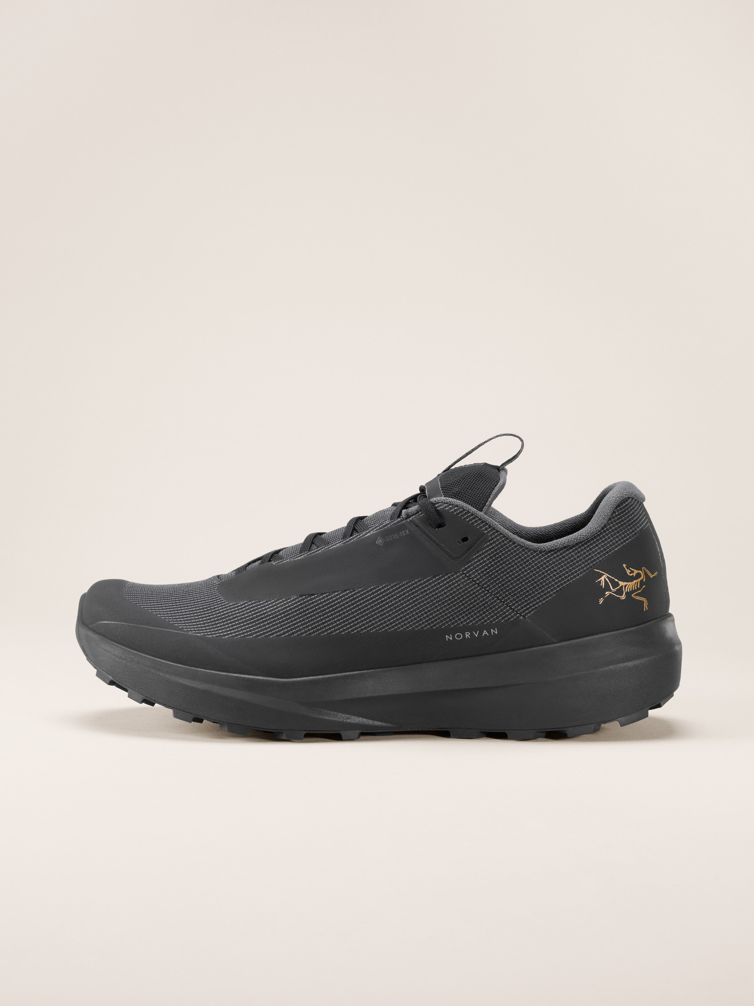 Norvan LD 4 GTX Shoe Men's | Arc'teryx United States