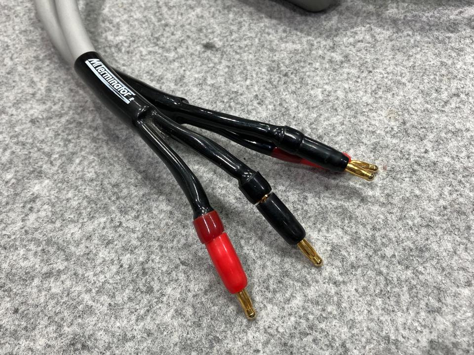 Terminator 2/2.4m MIT - 中古オーディオ 高価買取・販売 ハイファイ堂