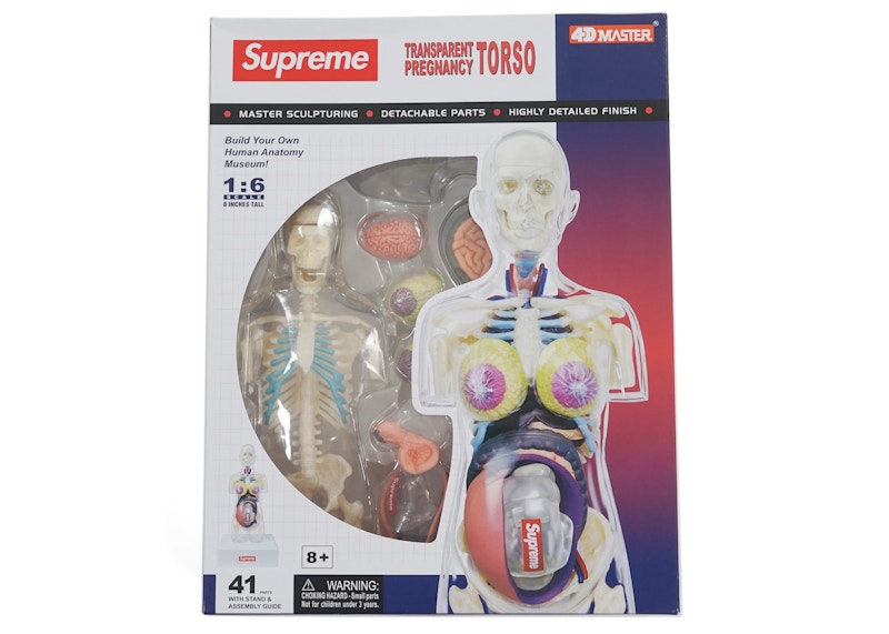 Supreme Female Anatomy Model Clear - FW18 - US