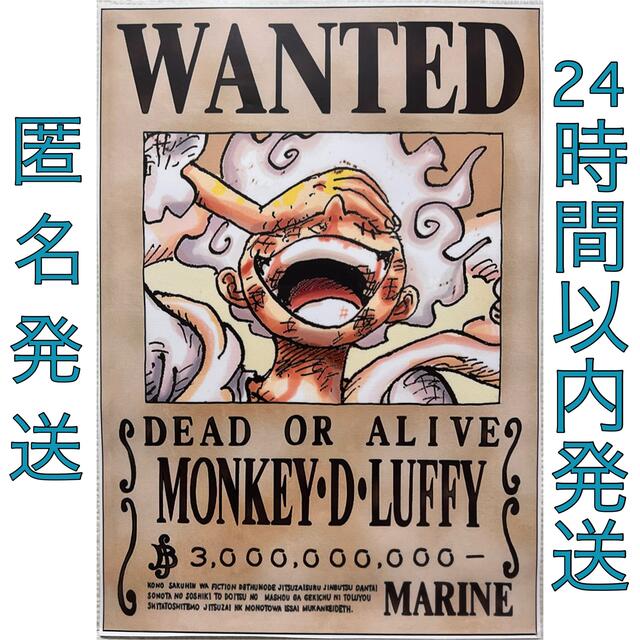 ワンピース モンキー・D・ルフィ 手配書 ポスター ギア 5 太陽の神ニカ