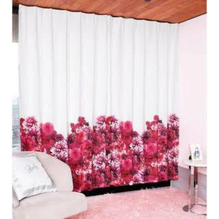 Rady（カーテン）のフリマアイテム一覧