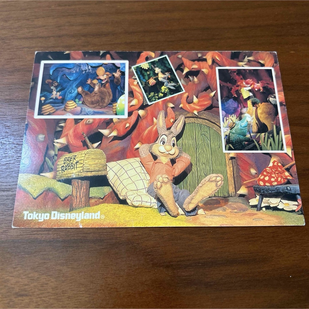 Disney - ○ディズニー スプラッシュマウンテン 実写 うさぎどん