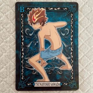 家庭教師ヒットマンREBORN サザンクロスバトル バトルカード002 沢田