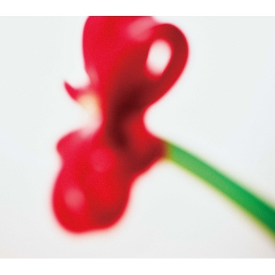 ハッピーエンドへの期待は 【初回生産限定盤】(+DVD) : マカロニ