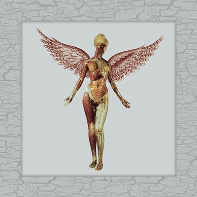 In Utero - 30th Anniversary Super Deluxe Edtition (5枚組SHM-CD