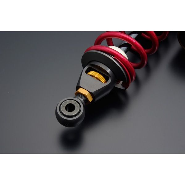 Webike | ADVANTAGE アドバンテージ SHOWA [ショーワ] RS-γリア