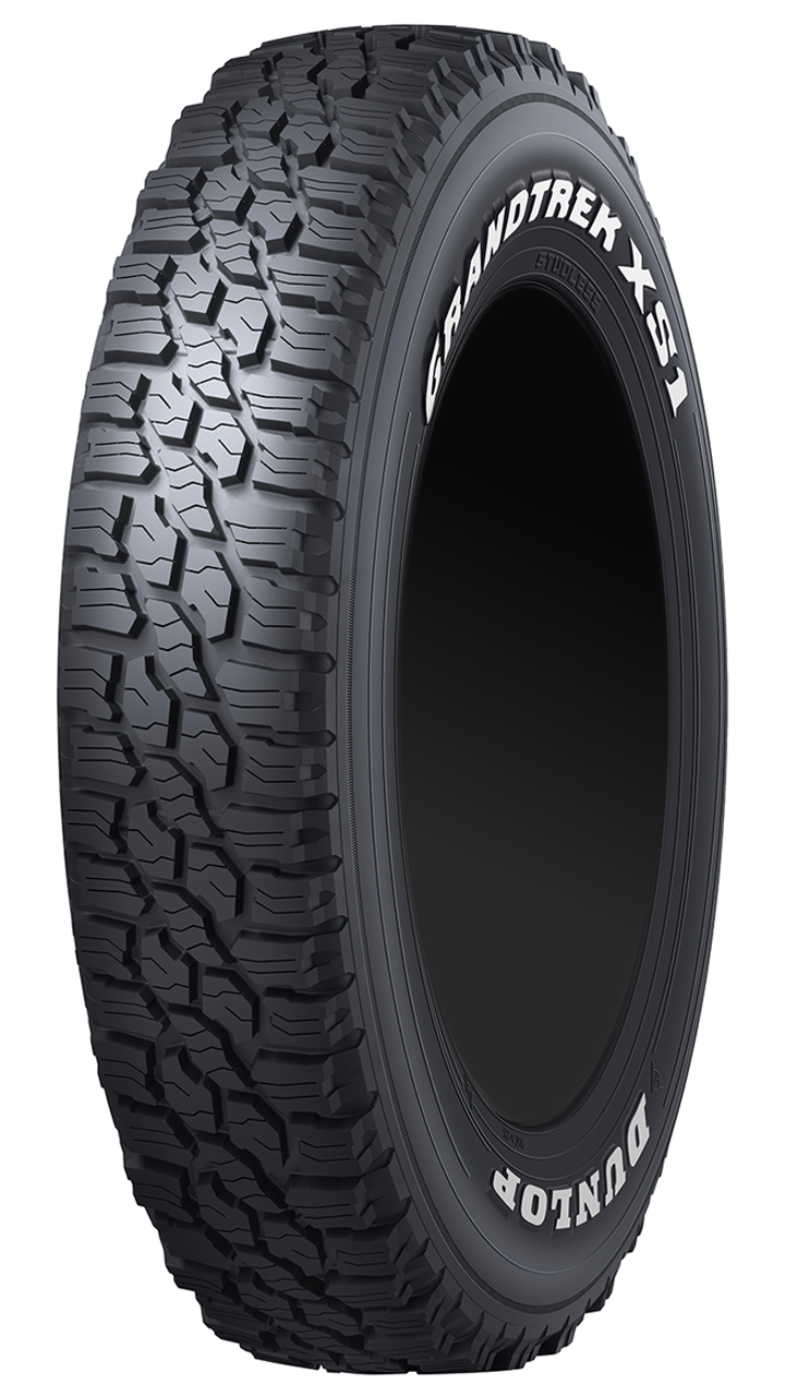 BRIDGESTONE BLIZZAK DM-V3 215/70R16 100Q | タイヤの通販 販売と交換