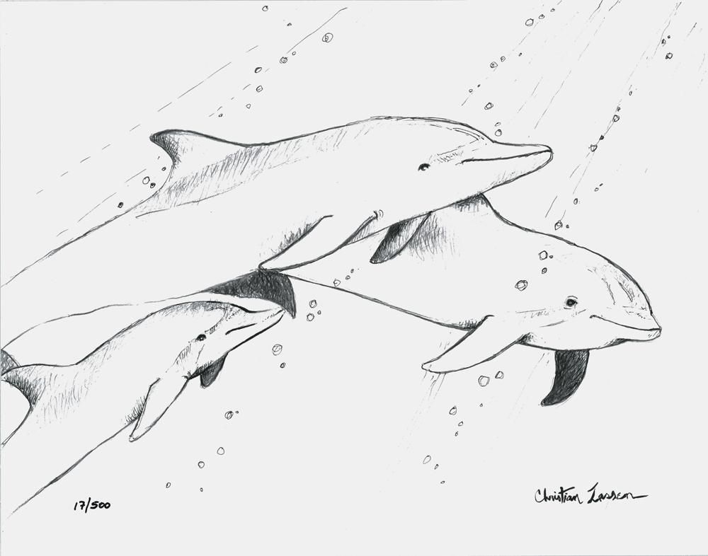Three Dolphins | クリスチャン・ラッセン | アート・オブ・ライフ