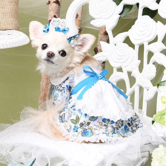 BIRDIE（バーディー） 犬の服 春 夏 Luxe birdie ミナージュワンピース