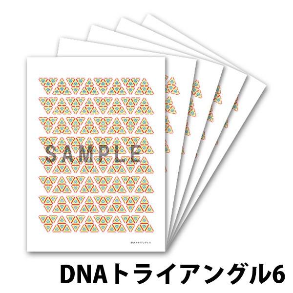 クスリエ 小サイズ 5枚入 クスリ絵 カタカムナ ユニカ 医学博士 丸山修