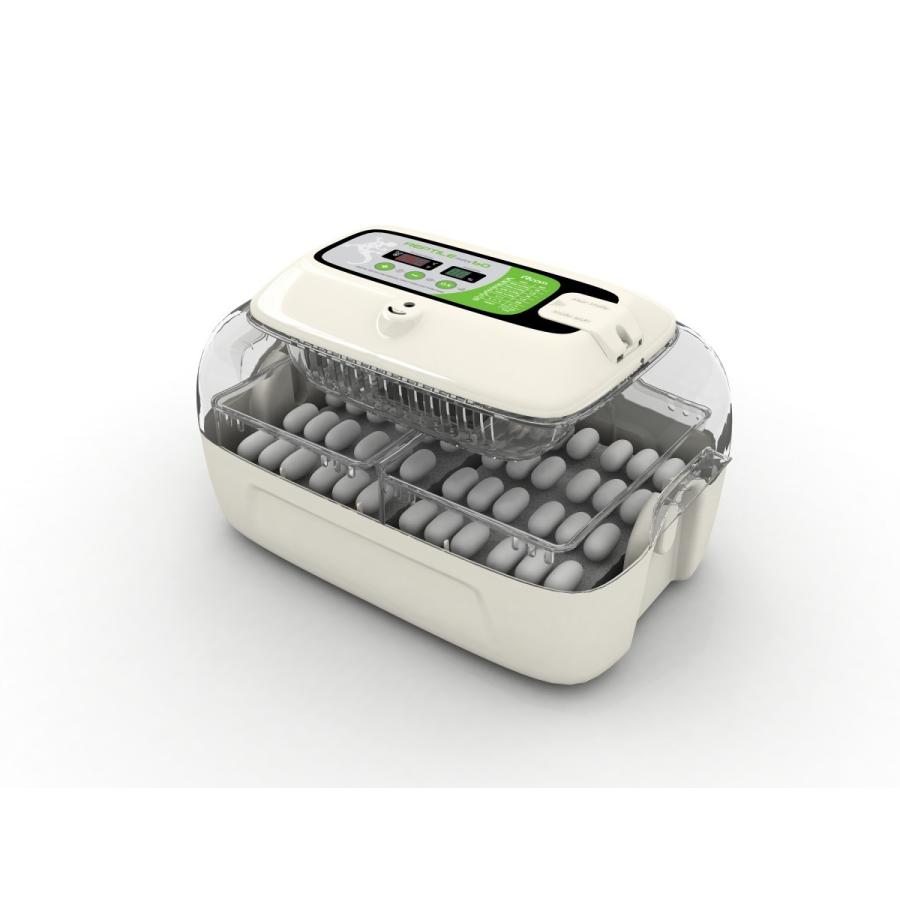 ジュラゴン レプタイルマックス60 : eバード - 通販 - Yahoo!ショッピング