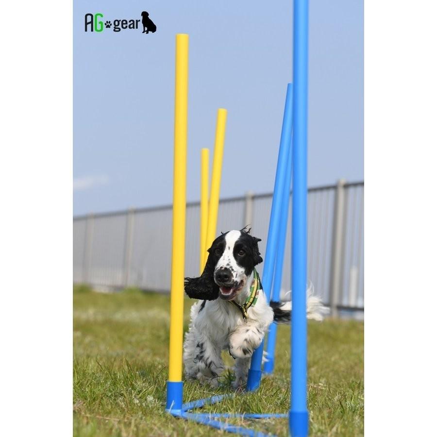 JKC公認訓練士 推奨】犬用 アジリティ スラローム 室内でも使える