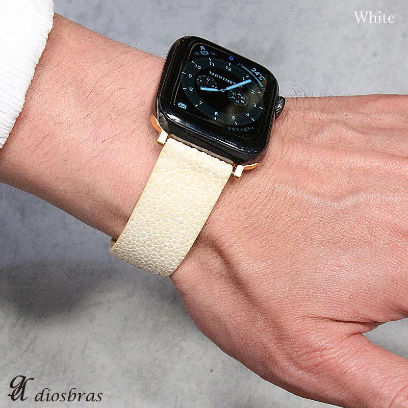 スティングレイ エイ革 ガルーシャ スティングレー 16mm18mm 20mm 22mm