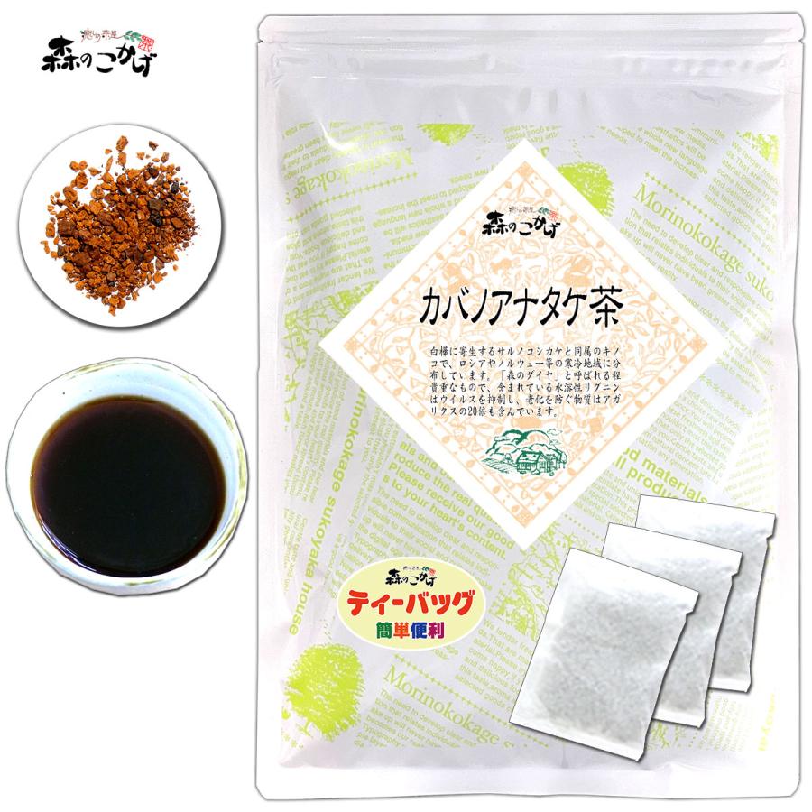 森のこかげ 2 カバノアナタケ茶 2g×50p チャーガ茶 キノコ茶 ティー