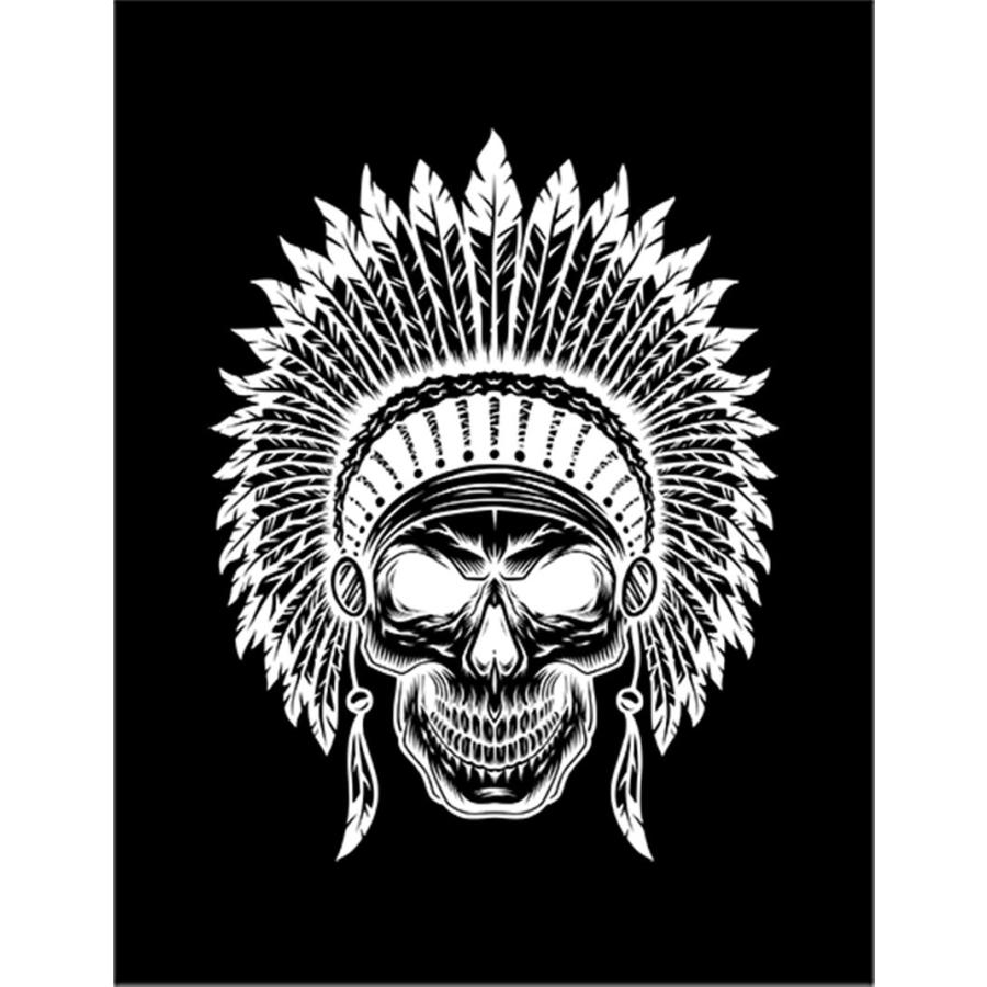 インディアンスカル】ポストカード : FOX REPUBLIC - 通販 - Yahoo