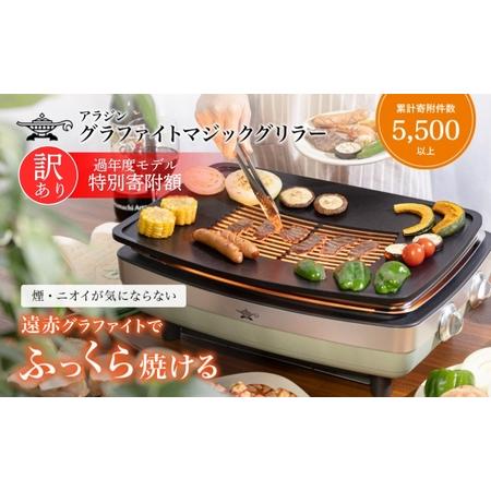 ふるさと納税 アラジン 訳あり 特別寄附額 グリーン 緑 グラファイト