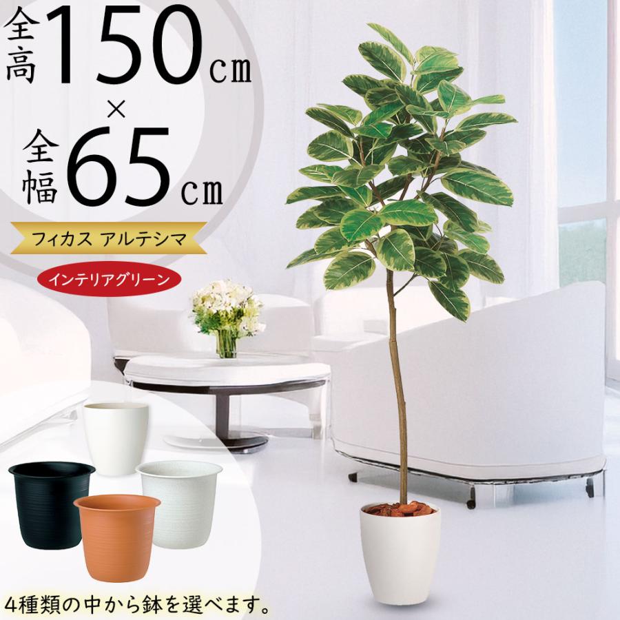 アルテシマ インテリアグリーン おしゃれ フェイクグリーン リアル